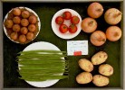 Thumbs/tn_08 show tray img_9840.jpg