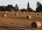 Thumbs/tn_09 img_9799 bales.jpg