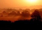 Thumbs/tn_10 img_0390 misty.jpg